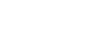 Cariis Fleet Transport GmbH Logo Weiß