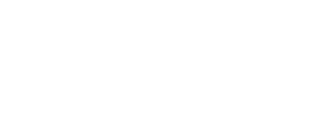 Citoria Webagentur Logo Weiß